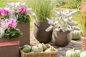 Der Herbst ist da! Der Herbst ist da!