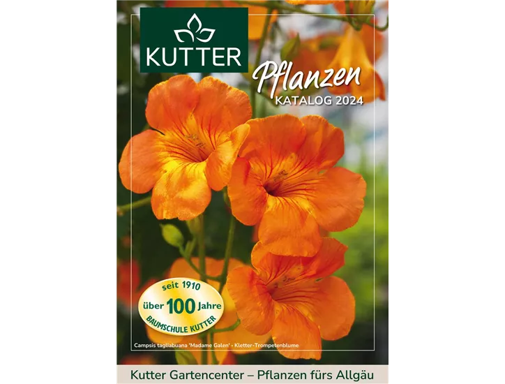 Kutter Pflanzenkatalog 2024-1.jpg