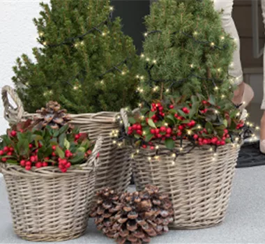 Terrasse & Balkon im Dezember