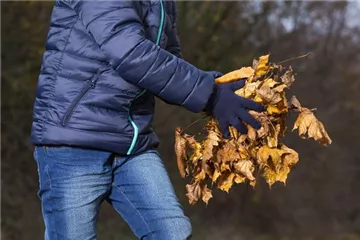 Allgemeine Gartenarbeit im Oktober Allgemeine Gartenarbeit im Oktober