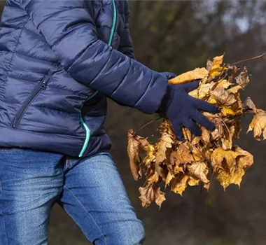 Allgemeine Gartenarbeit im Oktober